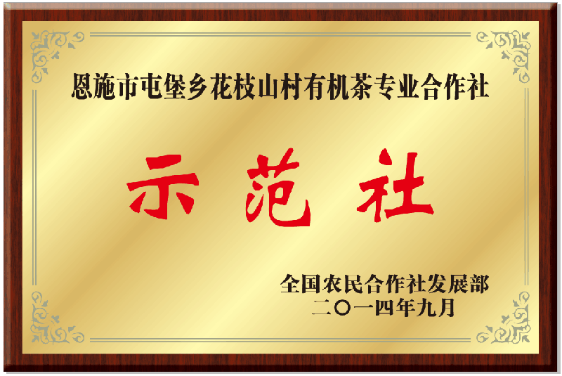 图片8.png